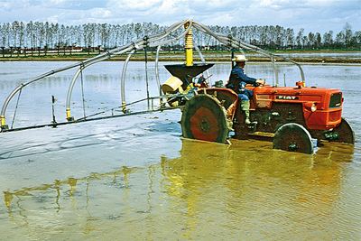 Frühjahr 1968: Der PNEUMATIC-Streuer verteilt Reis auf 10 m Breite über die Wasserfläche – Vercelli, Italien.